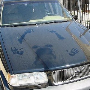 fail-blog