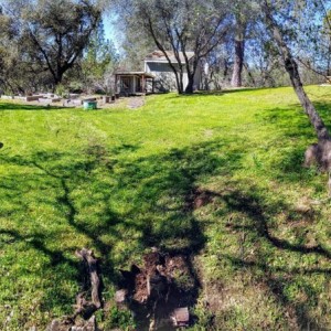 Cut some grasses today...