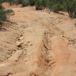 More Trenches