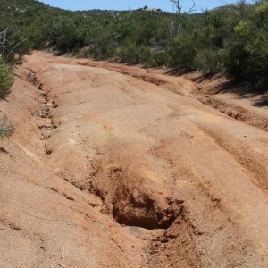Rough road