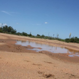 Random Mud Hole