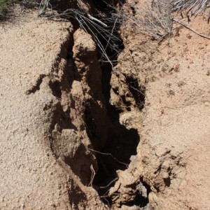 Humongous Cracks