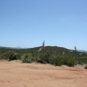 Trail in the Distance