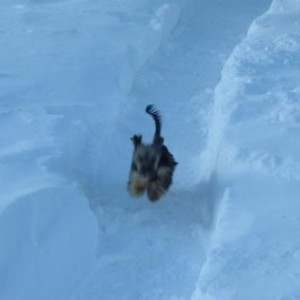 Attack