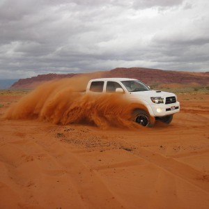 Taco in the sand