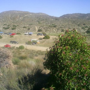 S40230421