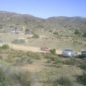 S40230381