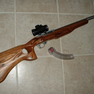 Ruger1022