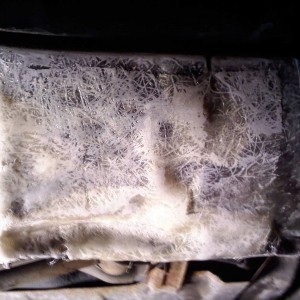 Fiberglass on and sanded