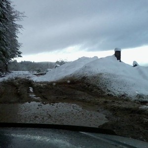 Photo0366