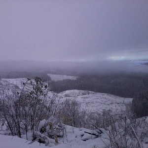 Photo0362