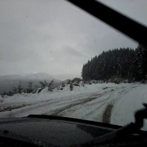 Photo0356
