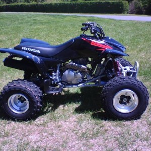 The other Toy