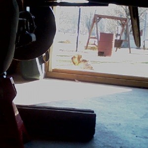 Watch dog... he's watching... got yo' back.
