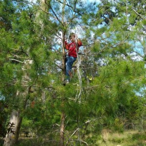 camp_002