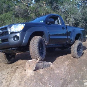 wheel ona stump