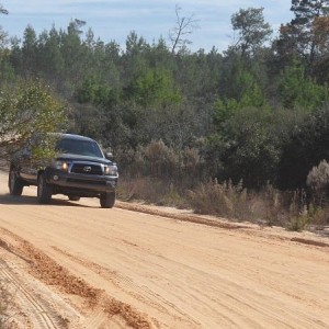 Ocala NF