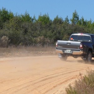 Ocala NF