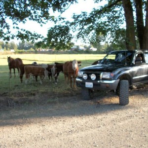Farm boy