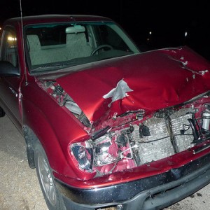 2001 Tacoma Deerstrike