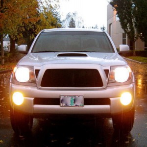 503TRD Lights