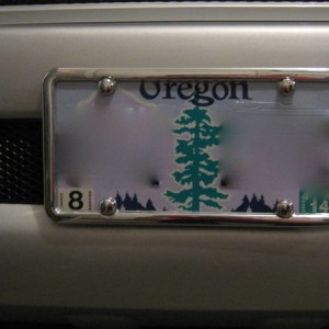 503TRD License Plate Mount