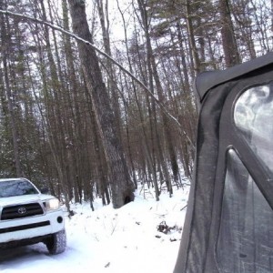 08 tacoma
