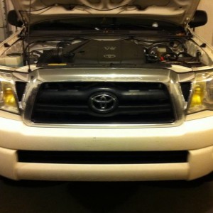 Stock
