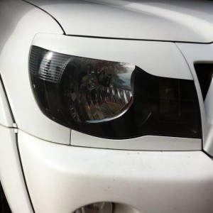 T-Rex 1 eyelid