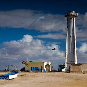 Baja-8129