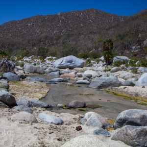 Baja-8209