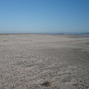 Baja_0414