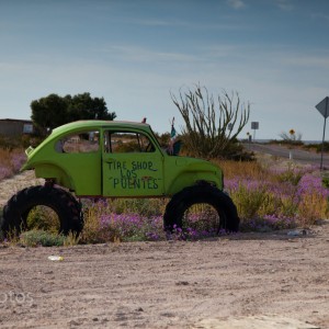 Baja-8327