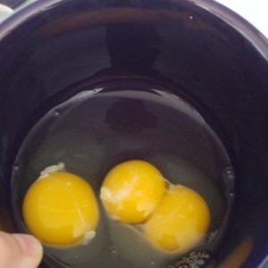 Mutant chickens for breakfast today