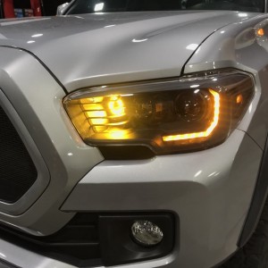 Turns Night Closeup