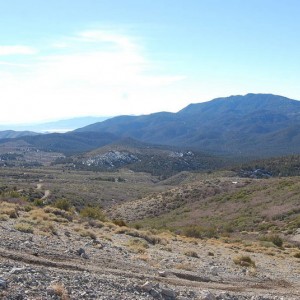 wheelers pass