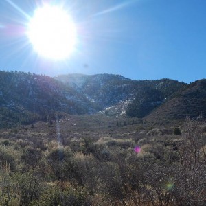 wheelers pass