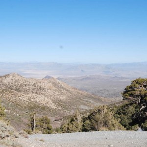 wheelers pass