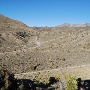 wheelers pass