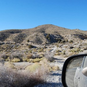 wheelers pass