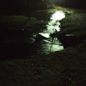 my driveway takin a shitkickin