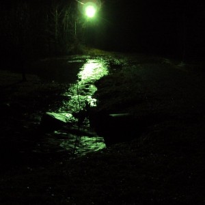 my driveway takin a shitkickin