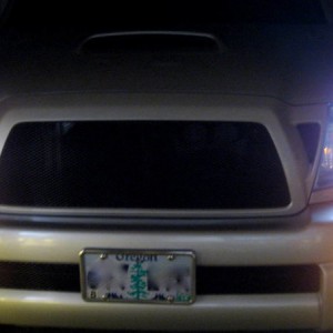 503TRD Lights