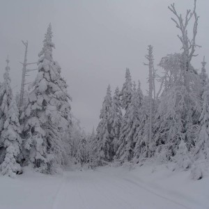DSC029211