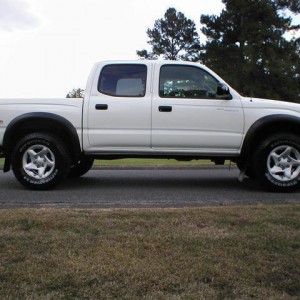 taco278