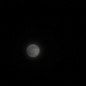 IMG_5286