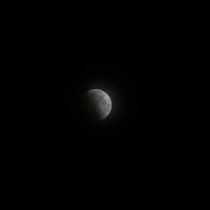 IMG_5293
