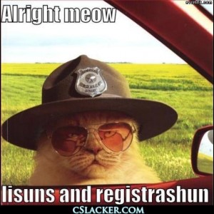 alright_meow