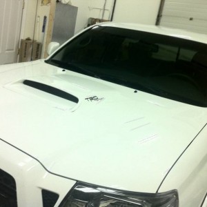 new decal
