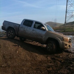 silver taco